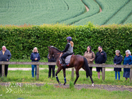 CH290522-55 - Charlie Hills Stable Visit